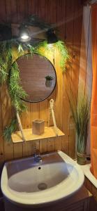 a bathroom with a sink and a mirror at Chalet Fontaine 54 in Ustou +24 photos