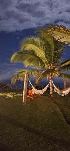 a palm tree with a hammock on a beach at Pousada Safyra in Caraíva