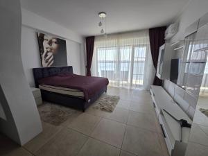 a bedroom with a bed and a television in it at Tudor S Residence Mamaia in Văleni