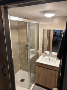 a bathroom with a shower and a sink at Grange aménagée in Campan