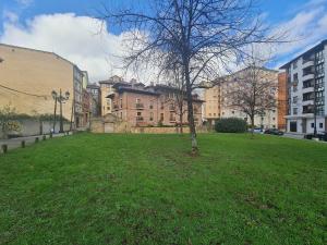 a tree in the middle of a field in a city at Ca'Oviedo in Oviedo