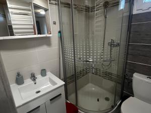 a bathroom with a shower and a sink and a toilet at Chatička u Perniců in Jedovnice