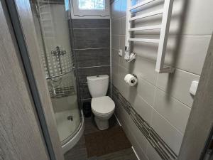 a small bathroom with a toilet and a shower at Chatička u Perniců in Jedovnice