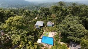 an aerial view of a house in the jungle with a swimming pool at The Cozy Clouds Hill Stay in Napoklu