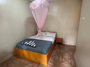 a bedroom with a bed with a mosquito net at Zebra guesthouse Hawassa in Āwasa