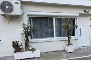 Ein Haus mit zwei Topfpflanzen vor einem Fenster in der Unterkunft Studio Lite Ermou#17 in Kateríni