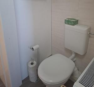 a bathroom with a white toilet with a roll of toilet paper at Ferienwohnung Egbert in Weißwasser