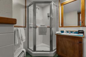 a bathroom with a shower and a sink at Emerson Resort & Spa in Mount Tremper +77 photos