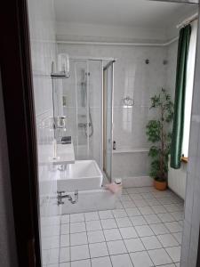 a bathroom with a tub and a shower and a sink at Weißes Roß Crossen in Ahlendorf +19 photos