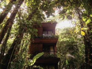 a tree house in the middle of the forest at Palmar Beach Lodge in Bocas Town +40 photos