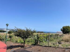 a garden with a fence and a tree in a field at Music and Words in Oeiras