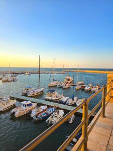 a group of boats are docked in a harbor at Maestrale in Giovinazzo