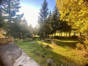 a garden with trees and grass and a bench at Chaloupka na Kalovech in Sušice