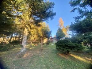 a yard with trees and a house in the background at Chaloupka na Kalovech in Sušice +3 photos