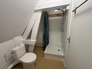 a small bathroom with a toilet and a shower at Gîtes de la Renaissance in Merlieux-et-Fouquerolles +19 photos