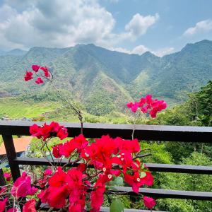 a bunch of red flowers on a fence with mountains in the background at Batad Pension and Restaurant Native House in Banaue