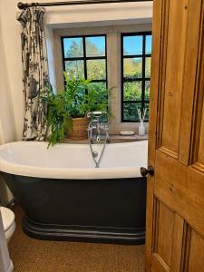 a bathroom with a bath tub with a plant in a window at The little Hotel-luxury home in Motcombe +50 photos