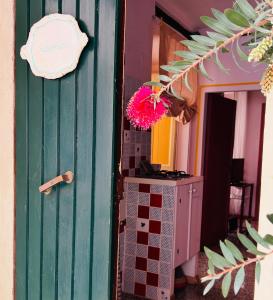 a green door with a pink flower hanging from it at Il balconcino di Riamori in Amelia