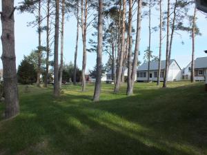 a group of trees in a yard with a house at Ferienpark Buntspecht Apartment A in Pruchten