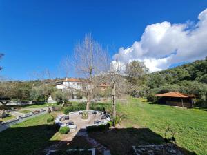 an aerial view of a garden with a tree at Paradise studios in Nikiti +17 photos