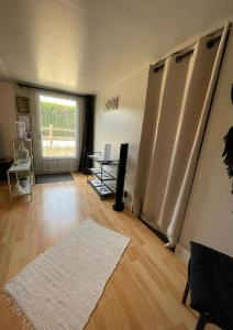 a living room with a large window and a rug at L'Éco'Logis - Meublé de tourisme classé 3 étoiles in Montargis