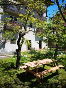 a wooden bench sitting in the grass next to a tree at Studio Meditazione e Yoga in Ossana