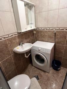 a bathroom with a washing machine and a sink at Agniya in Seoca