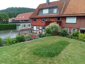 a house with a grassy yard in front of it at Ferienwohnung-Brenda in Wolfshagen