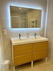 a bathroom with a sink and a mirror at Gîte Centre Chatillon 130m2 Parking prive La Maison d Hyppolite in Châtillon-sur-Seine