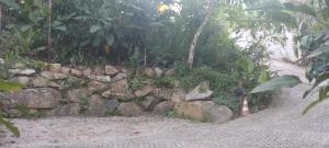 a stone wall next to a dirt road at Chalé Hidro Jurerê in Florianópolis