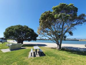 a park bench sitting on the grass near a beach at Tauranga Backpackers - Private Guest Rooms by the Water! in Tauranga