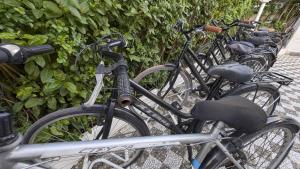 a row of bikes parked next to each other at Arneo Terra del Sole B&B in Torre Lapillo