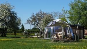 a gazebo in a field of grass at La Bulle des alpagas in Herry +5 photos