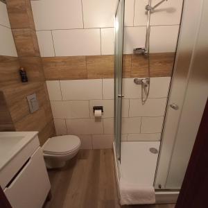 a small bathroom with a toilet and a shower at Akwen in Rewal +144 photos