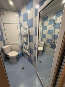 a bathroom with two toilets and a shower at Teo's Guest House in Dospat +23 photos