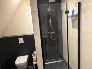 a bathroom with a shower and a toilet at Irene 2 in Hindeloopen +12 photos