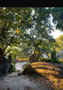 a dirt road with a large tree in the background at Chalé Shangri-la in Paraty