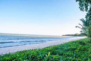 a beach with a palm tree and the ocean at Chale 4 com Churrasqueira e Ar a 200m da Praia in Prado