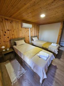two beds in a room with wooden walls at Вила ДАР in Gara Oreshets