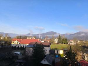 a small town with houses and mountains in the background at Апарт Отель Элин in Svalyava