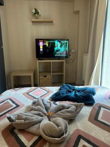 a room with a bed with a television and a blanket at Petit studio et son spa abrité in Nancy