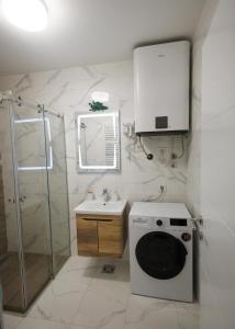 a bathroom with a washing machine and a sink at Tilia Lux apartmani in Čačak