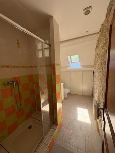 a bathroom with a shower and a toilet at Le Verger de la Tannerie in Chesley +15 photos