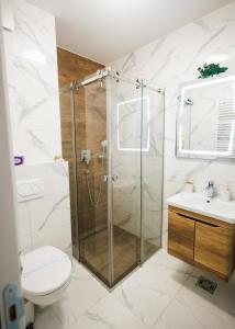 a bathroom with a shower and a toilet and a sink at Tilia Lux apartmani in Čačak +4 photos