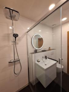 a bathroom with a shower and a sink and a mirror at Hill Star in Mönchengladbach +22 photos