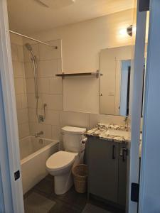 a bathroom with a toilet and a tub and a sink at Fernie Alpine Retreat in Fernie +8 photos