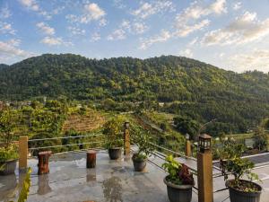 a view of a mountain with potted plants at The Green County Homestay in Panglipurgalin