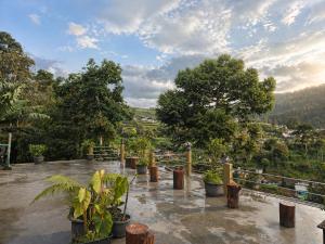 a patio with potted plants and a view of a valley at The Green County Homestay in Panglipurgalin