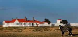 a horse standing in a field in front of a building at Hotel Estancia Caleta Josefina in Onaisin