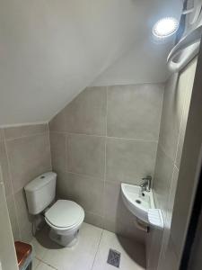 a bathroom with a toilet and a sink at Duplex DEL CARMEN in Santiago del Estero